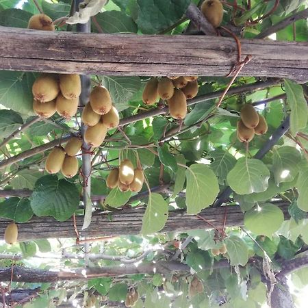 La Casetta Del Ponte Crevoladossola Ngoại thất bức ảnh