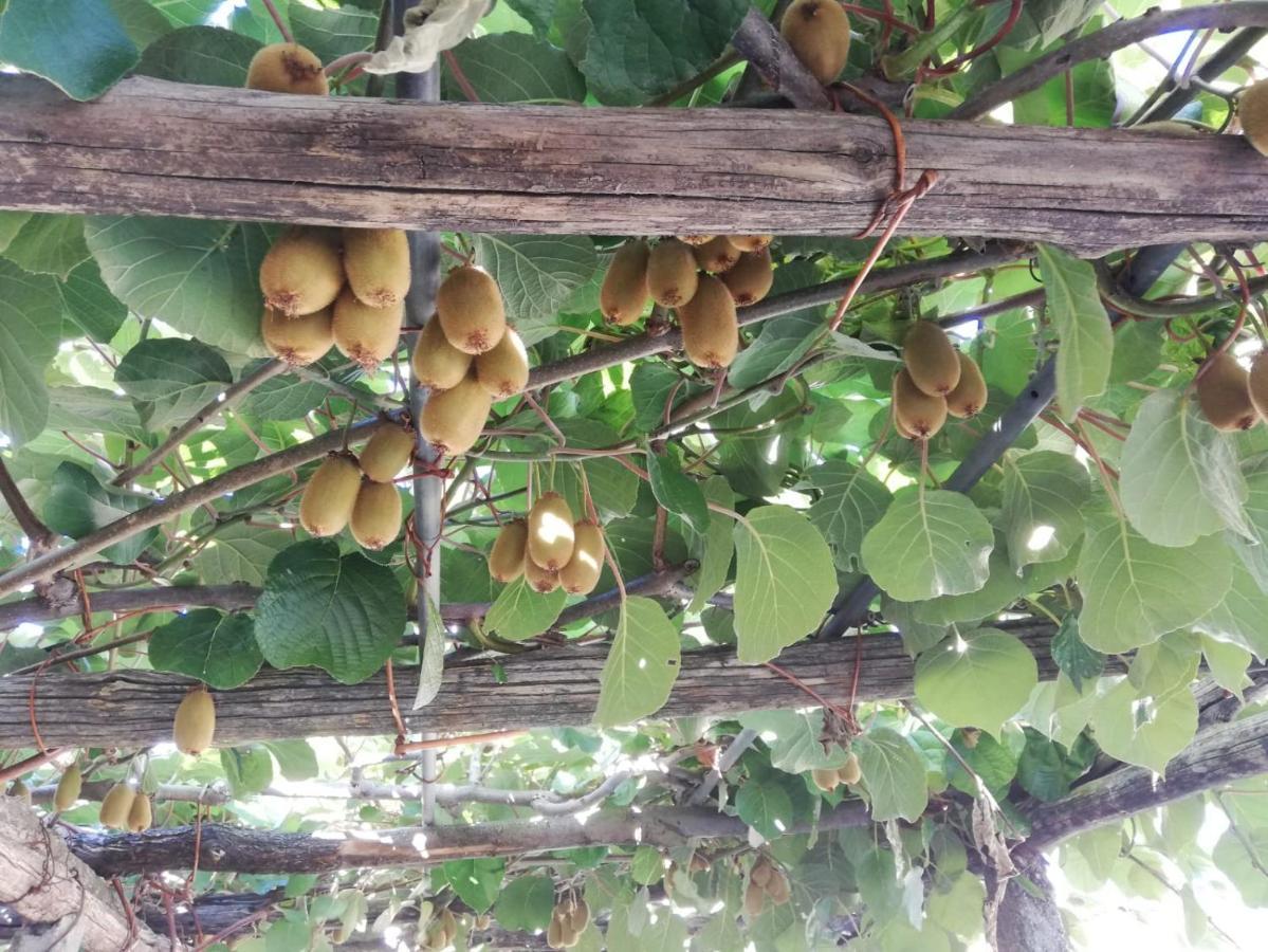 La Casetta Del Ponte Crevoladossola Ngoại thất bức ảnh